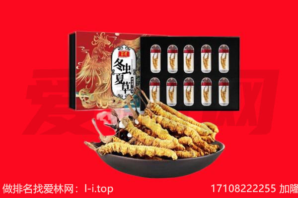 抚州市南丰回收虫草.jpg